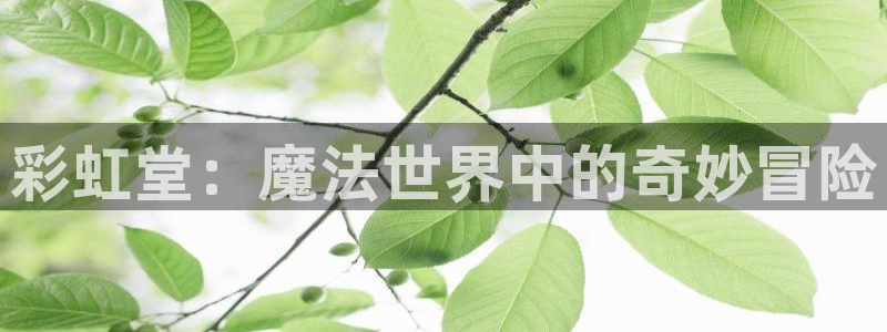  彩虹堂：魔法世界中的奇妙冒险