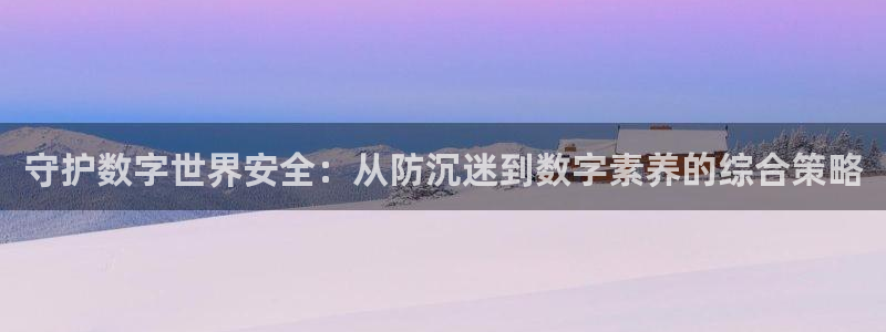  守护数字世界安全：从防沉迷到数字素养的综合策略