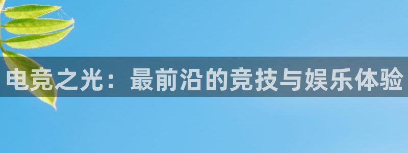  电竞之光：最前沿的竞技与娱乐体验