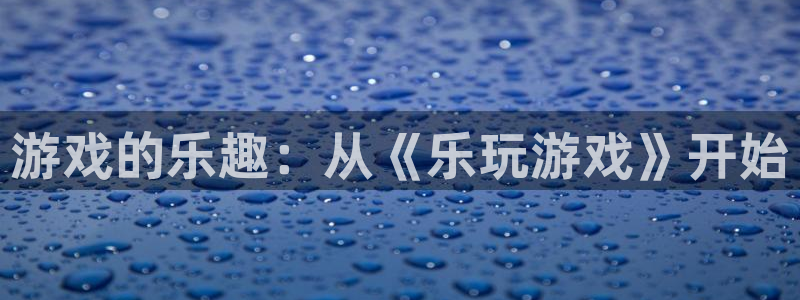 游戏的乐趣：从《乐玩游戏》开始