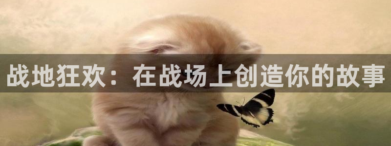 完美电竞平台赛季：战地狂欢：在战场上创造你的故事