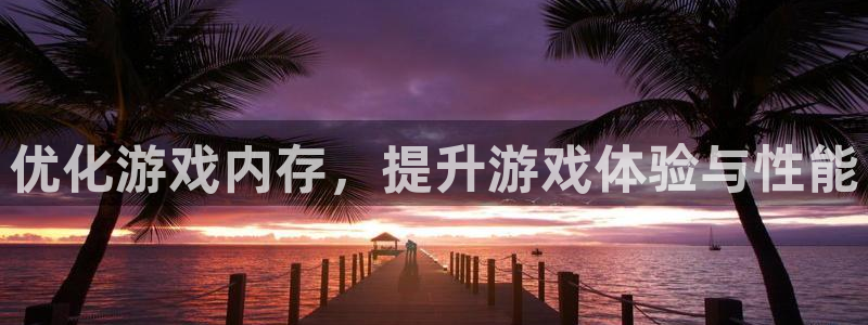 完美电竞cs怎么1v1：优化游戏内存，提升游戏体验与性能