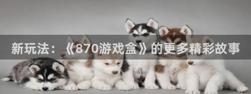  完美电竞平台下载安装：新玩法：《870游戏盒》的更多精彩故事