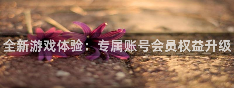  完美电竞平台改名审核要多久：全新游戏体验：专属账号会员权益升