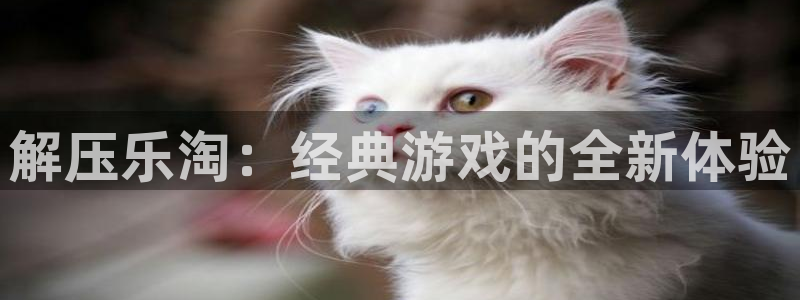  完美电竞平台检测不到steam：解压乐淘：经典游戏的全新体验