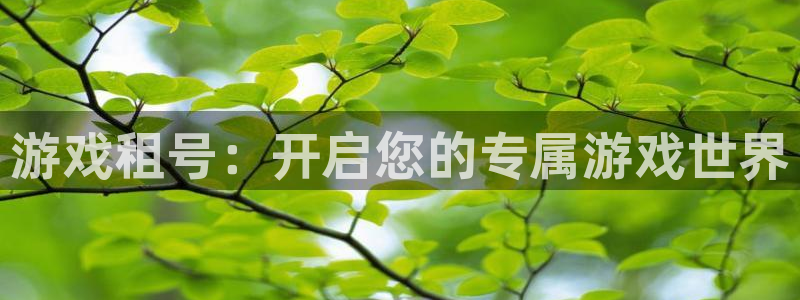  完美电竞新用户多少钱：游戏租号：开启您的专属游戏世界
