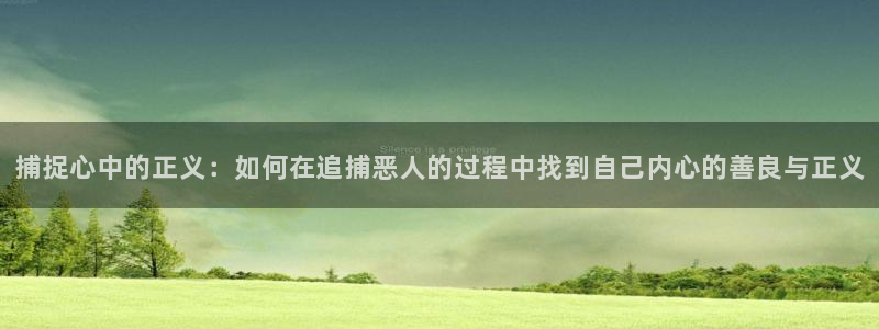  完美电竞吧：捕捉心中的正义：如何在追捕恶人的过程中找到自己内